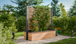 raised garden bed with privacy screen